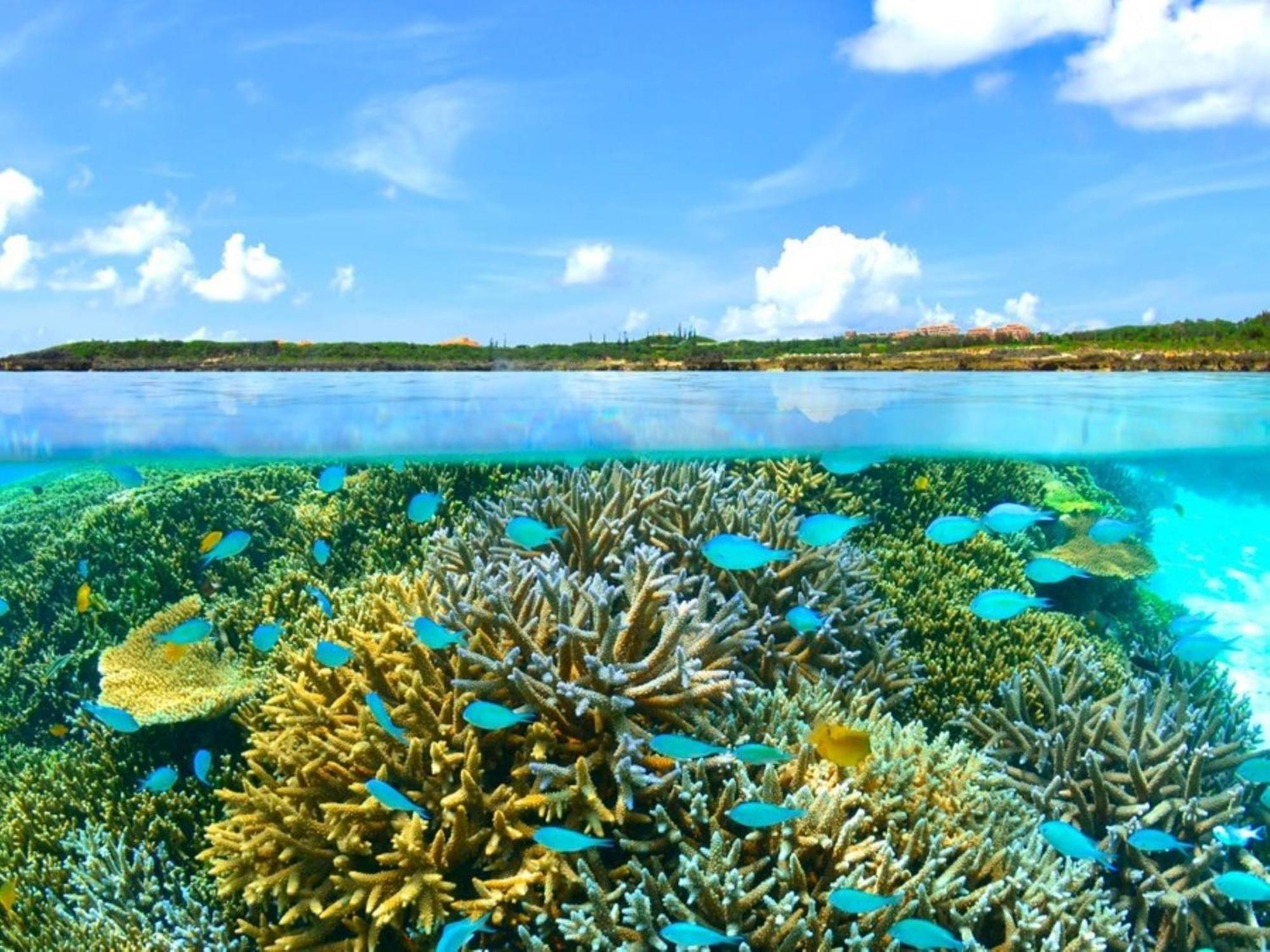 Miyakojima  Allamanda Imgya Coral Village מראה חיצוני תמונה